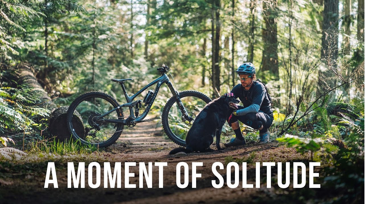 Video: A Moment of Solitude with Transition Bikes